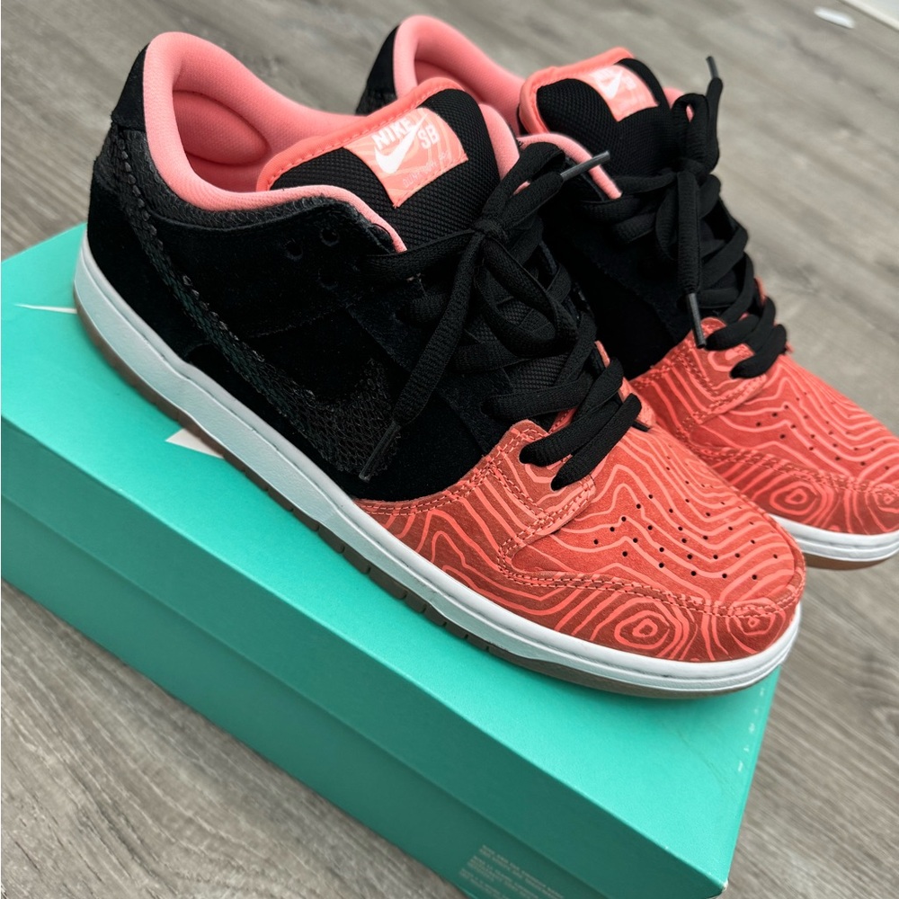 Nike SB Fish Ladders